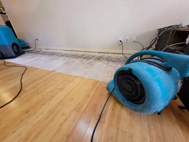 Professional Sewage Cleanup technician working in Danville, AR